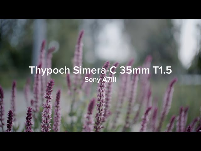 Thypoch Simera-c 35mm T1.5 | Sony a7iii
